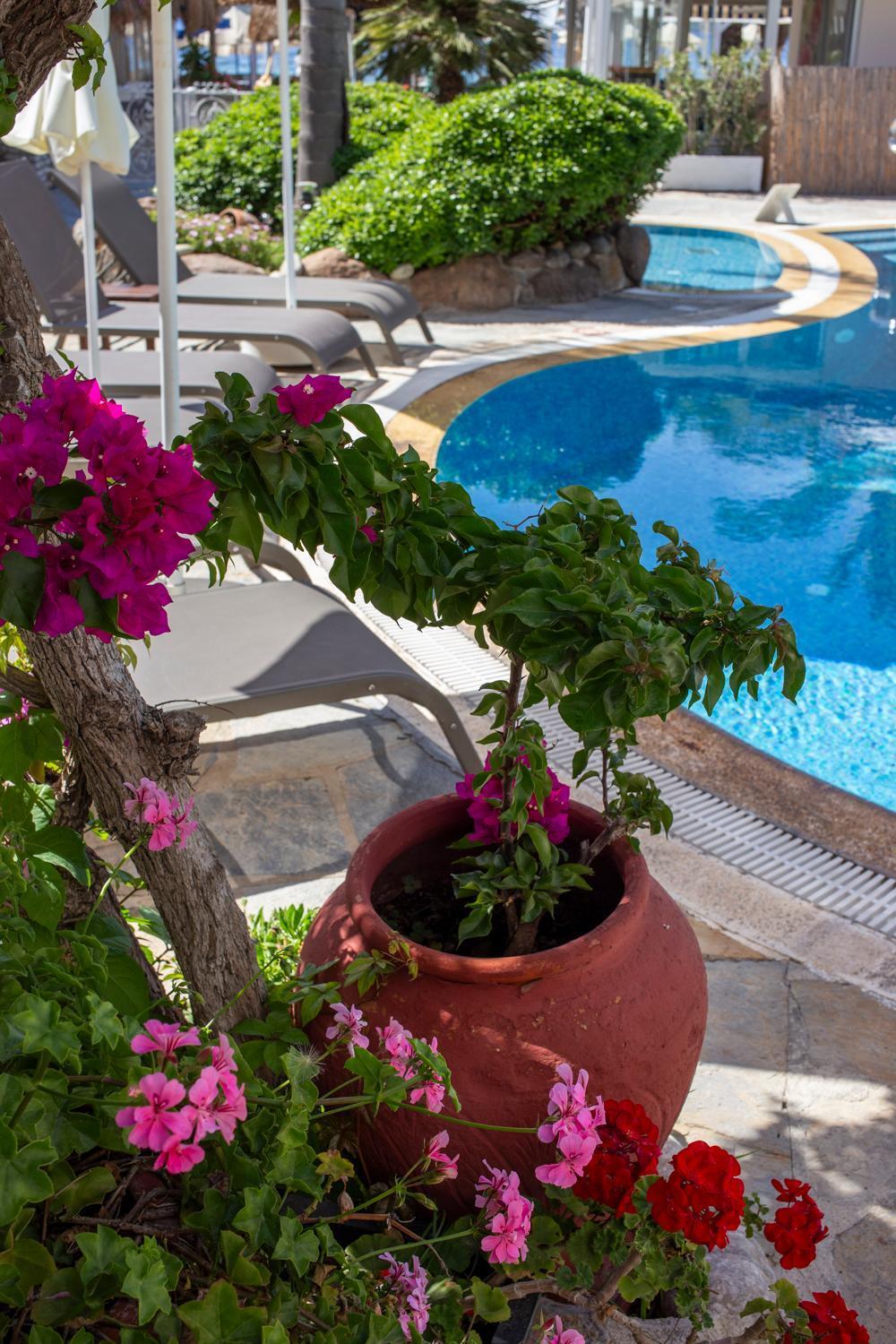 ביטז Uzhan Beach Hotel מראה חיצוני תמונה